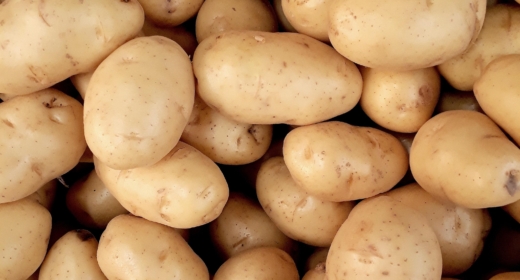 Aviko aardappelen