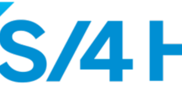 Sap s 4hana logo